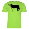 Cool T Sports Shirt Thumbnail